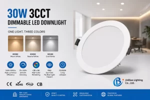 Gold-Label LED Recessed Panel Light: Technical Data and Images
